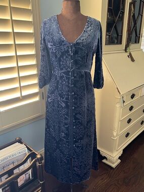 Jade by Johnny Was Silk Velvet Long Sleeve Button-Front Dress w/silk slip